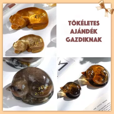 matriță silicon medalion amintire animale de companie Let's Resin