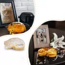 matriță silicon medalion amintire animale de companie Let's Resin