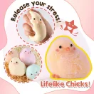 Let's Resin matriță silicon squishy pui de găină